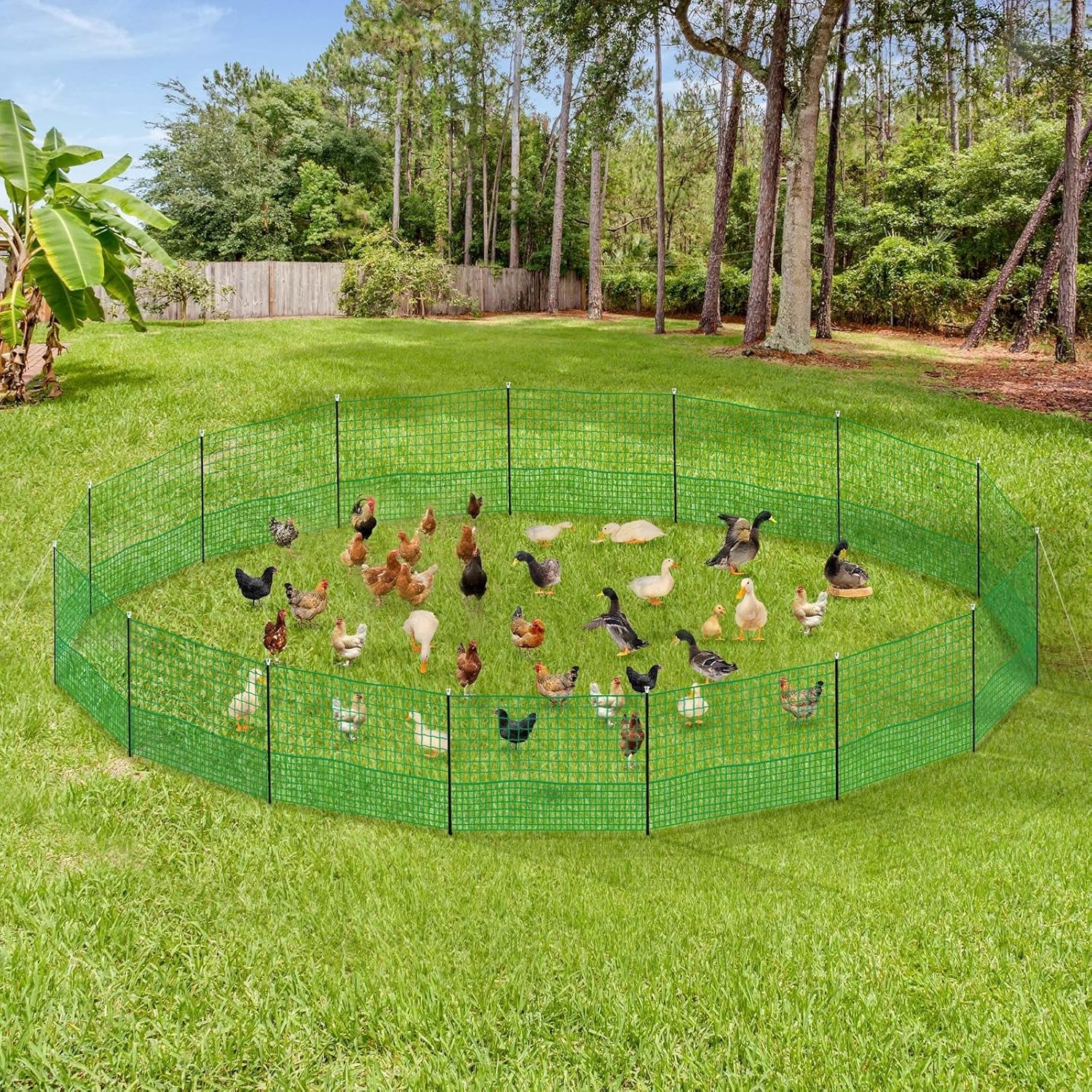 12M Chicken Fence Hen Poultry Coop Farm Runs Mesh Cage Net Habitat Safe House Pen - Image 10