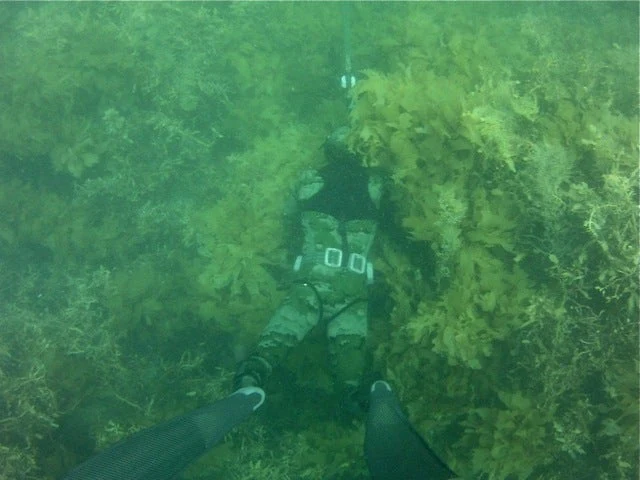 5mm Camo Wetsuit - Rob Allen Scorpia - Image 2