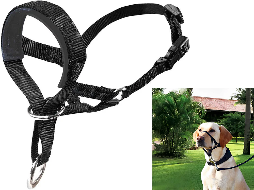 Adjustable Pet Dog Head Collar - Image 4
