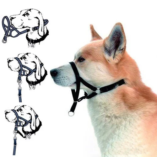 Adjustable Pet Dog Head Collar - Image 9