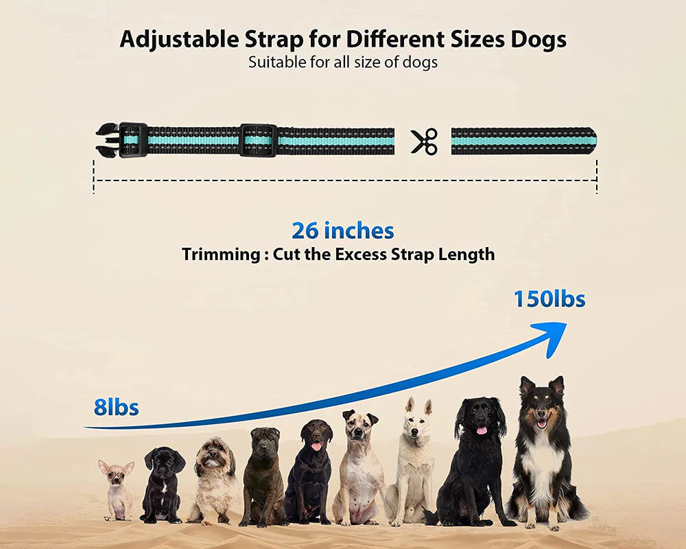 Anti Bark and Training Dog Collar - Image 7