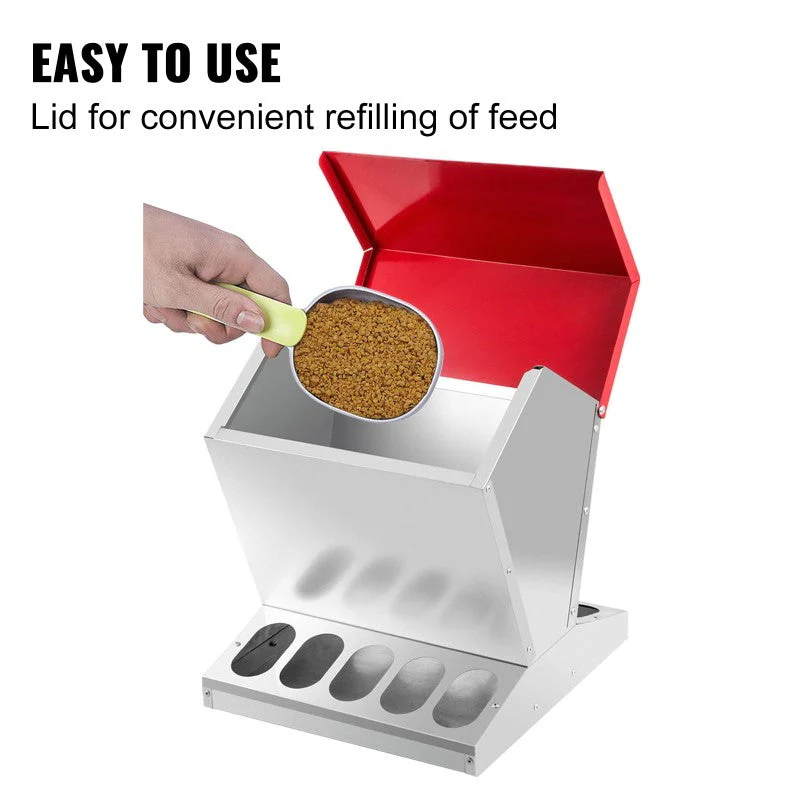 Automatic Chicken Feeder - Image 4