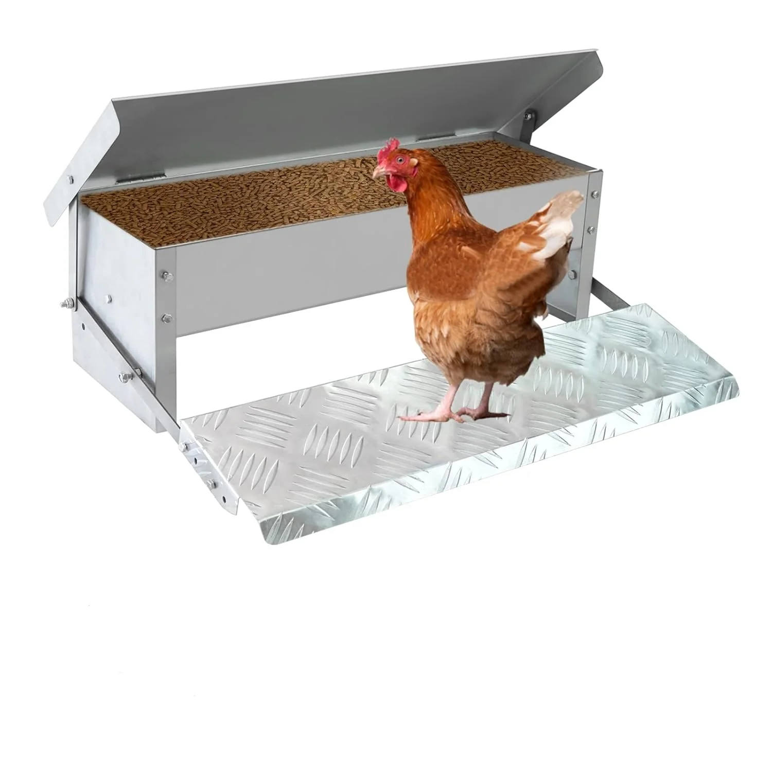Automatic Chicken Feeder 5kg - Image 8