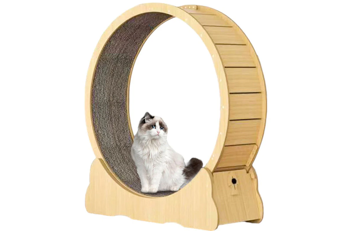 Cat Exercise Wheel Cat Scratcher Board - Image 2