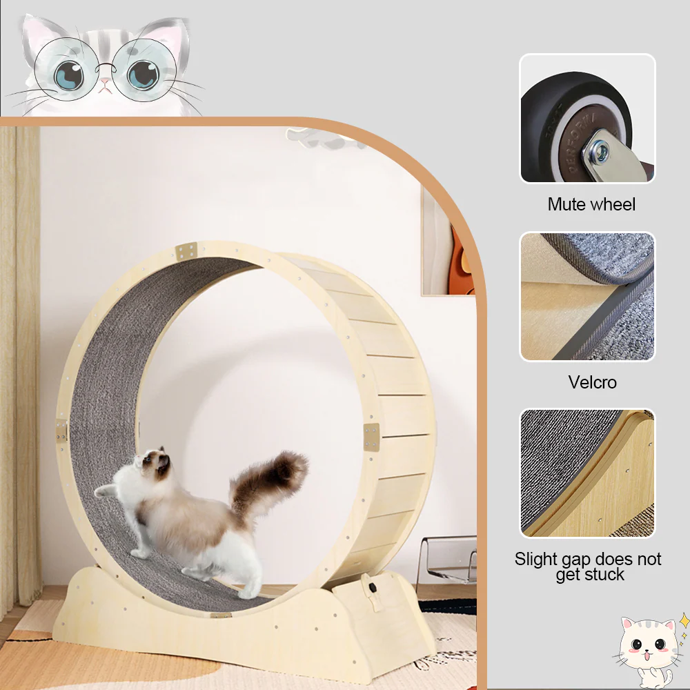Cat Exercise Wheel Cat Scratcher Board - Image 3