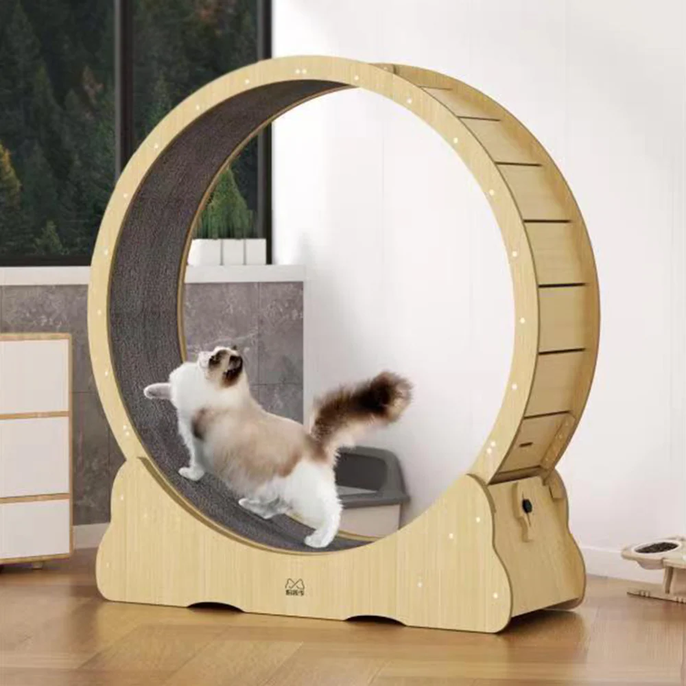 Cat Exercise Wheel Cat Scratcher Board - Image 6