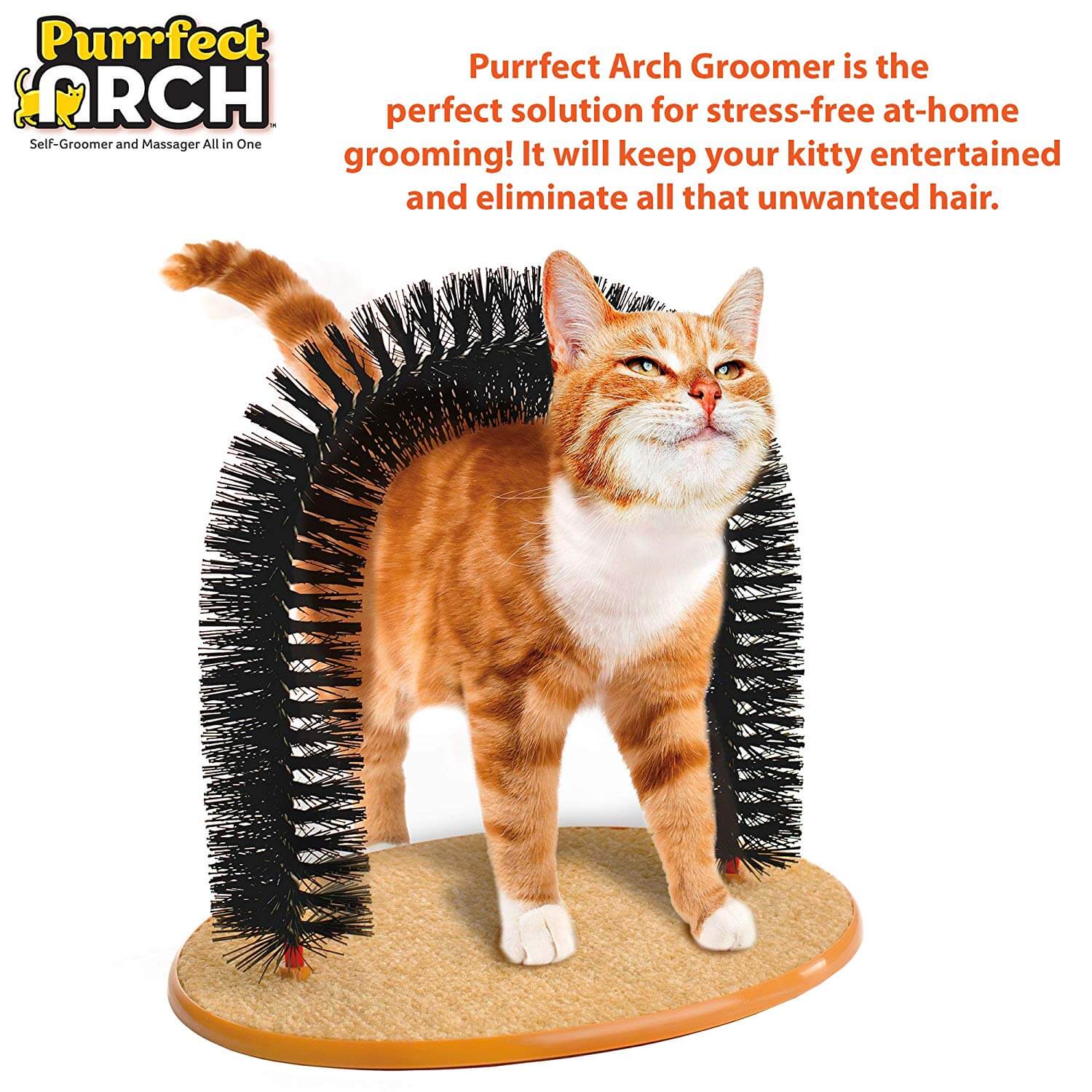 Cat Scratching Toy Cat Scratcher Cat Toy - Image 7