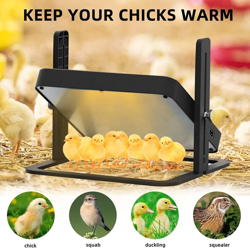 Chick Brooder Heating Plate Warmer,Chicken Coop Heater - Image 6