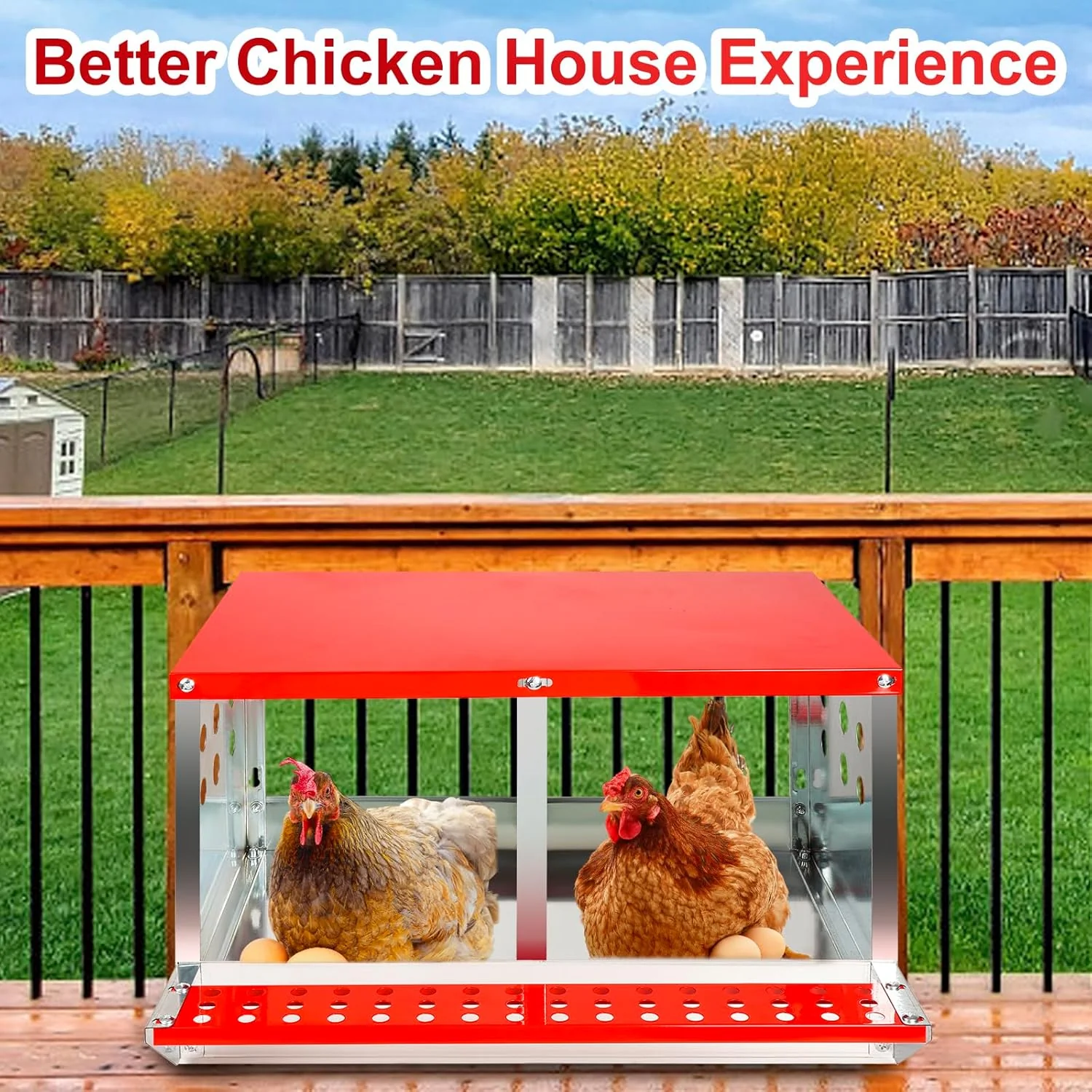Chicken Nesting Box with 2 Nests - Image 8