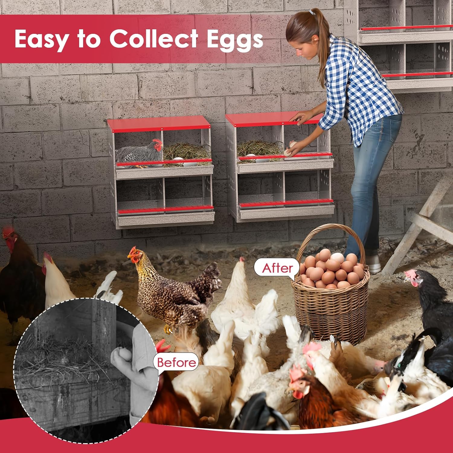 Chicken Nesting Box With 4 nests - Image 7