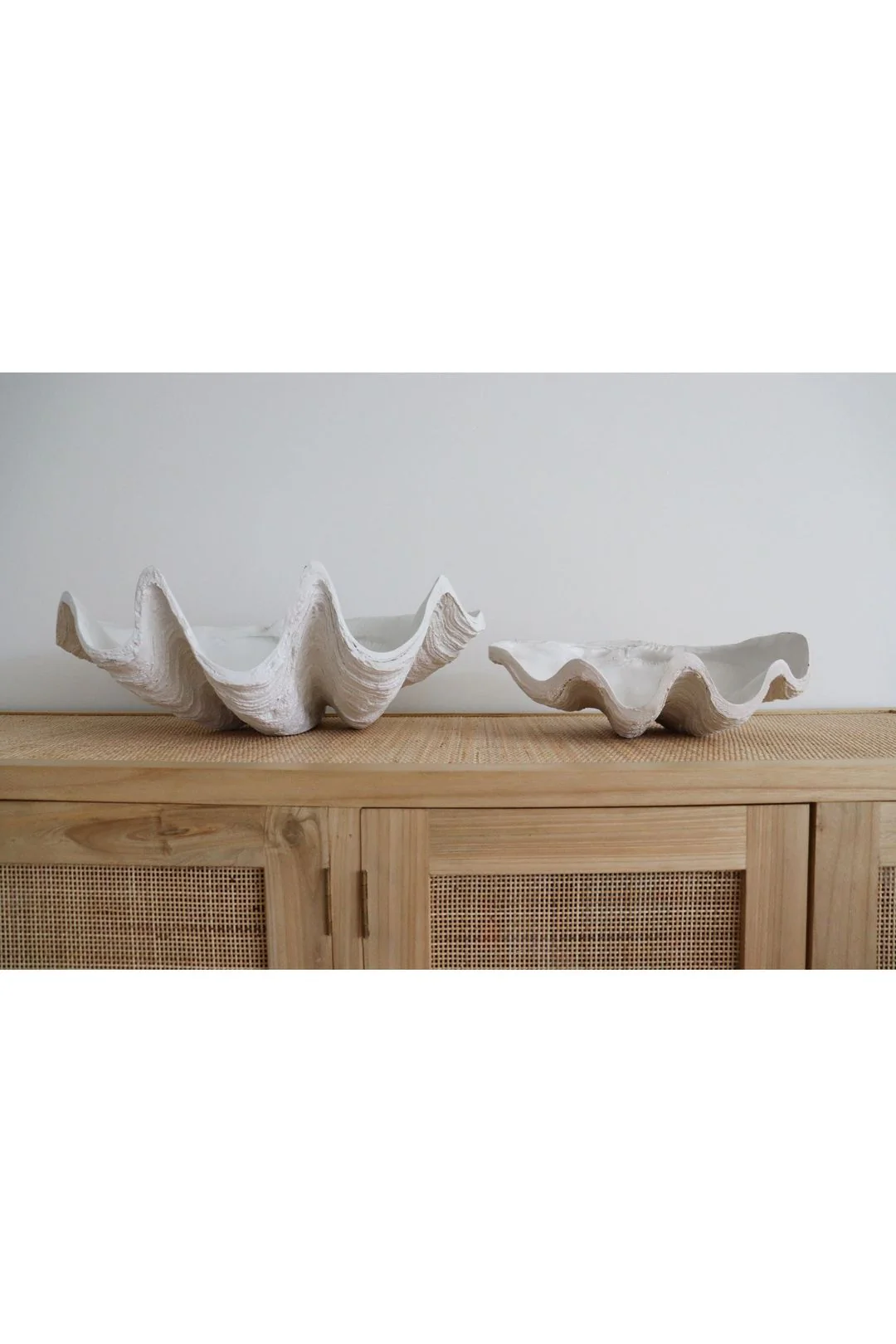 Clam Shell - Image 3