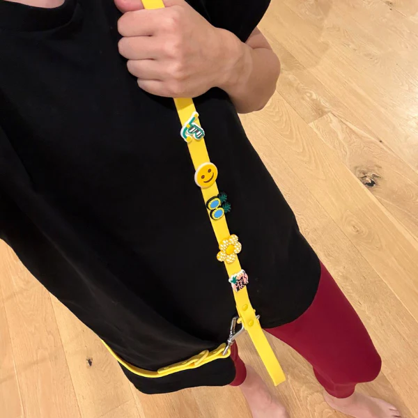 Customisable Dog Lead | Yellow - Image 7