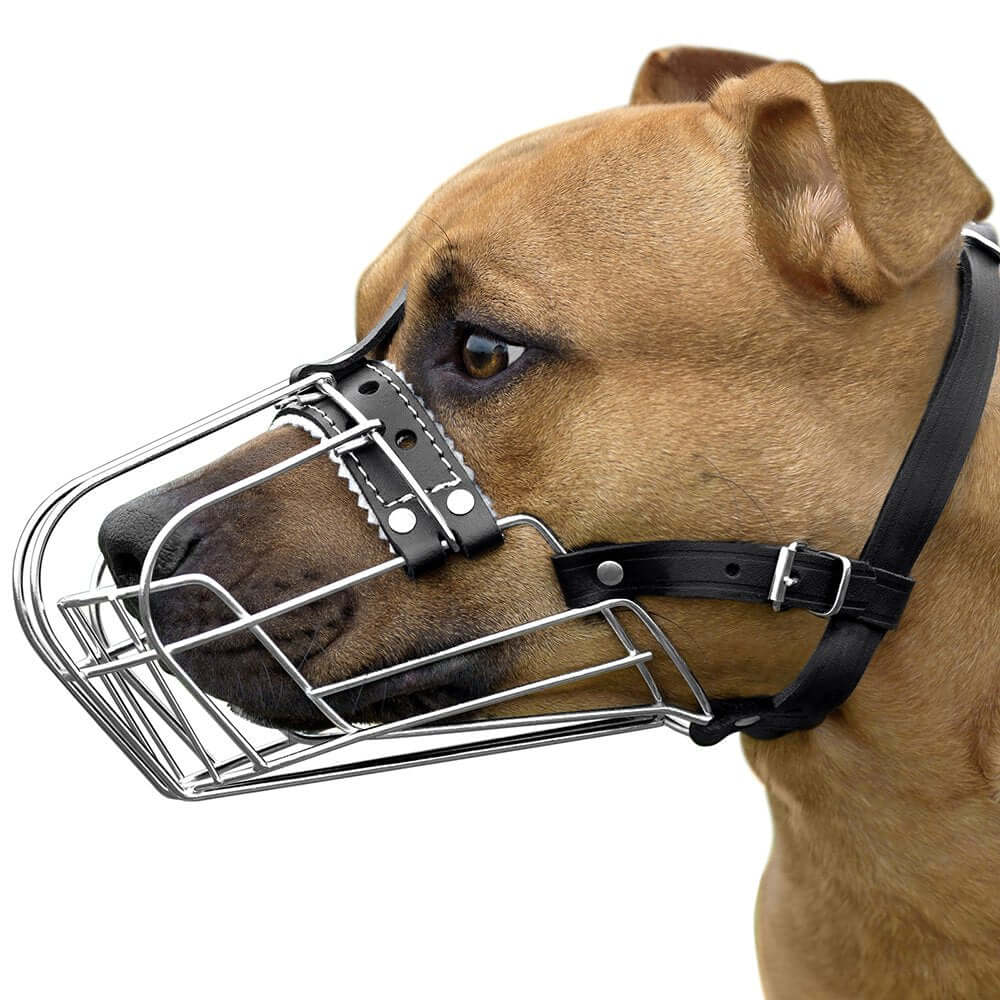 Dog Muzzle Wire Basket Amstaff Pit Bull Metal Mask Adjustable Leather Straps - Image 3