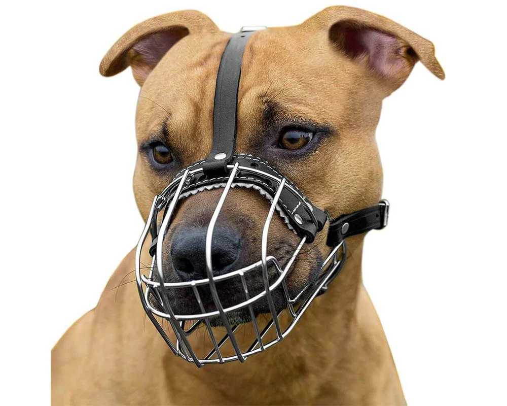 Dog Muzzle Wire Basket Amstaff Pit Bull Metal Mask Adjustable Leather Straps - Image 9