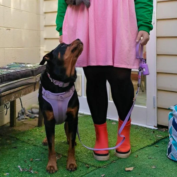 Dog Poop Bag Holder | Lilac - Image 3