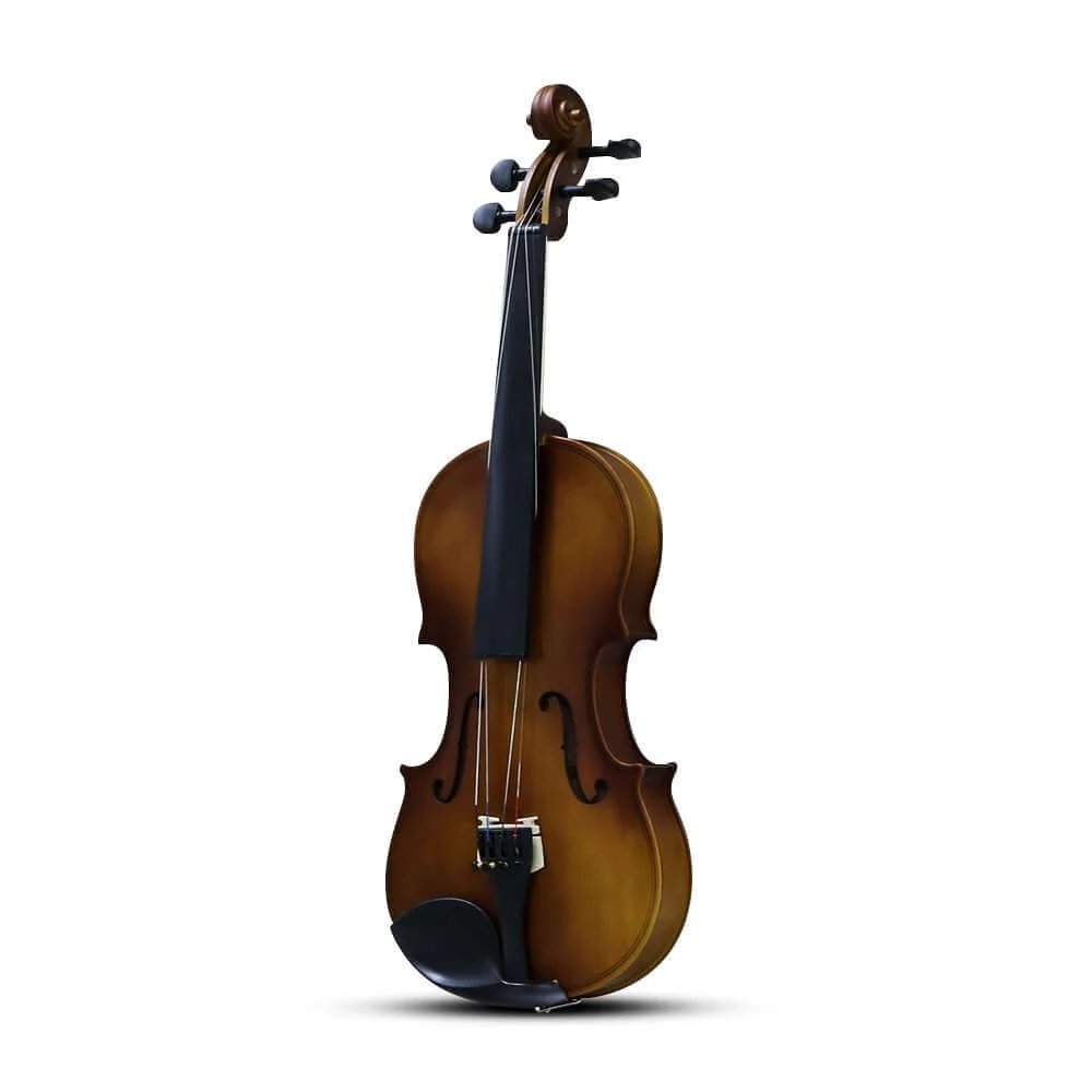 Full-size 4/4 Violin with Carrying Case Nature - Image 8