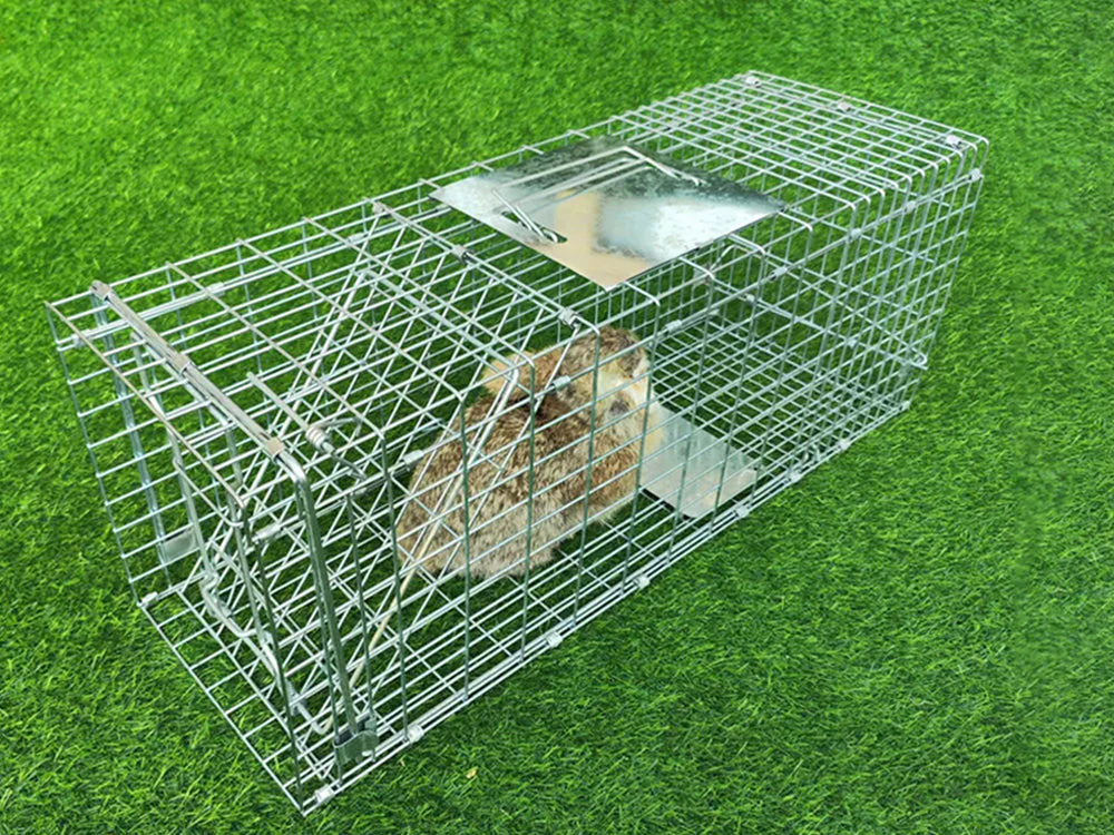Humane Live Animal Trap Cage 79*28*33cm - Image 8