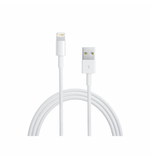 iPhone Charger with USB Wall Charger Replacement - Image 2