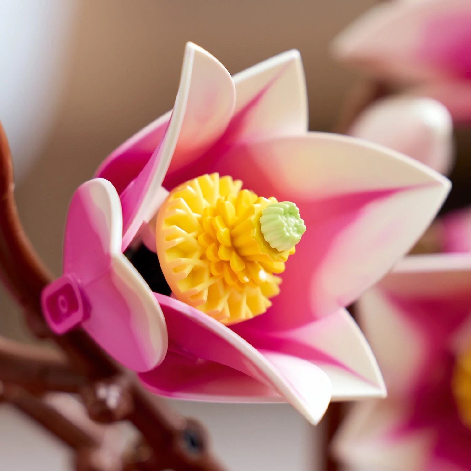 LEGO Botanicals: Magnolia Branches (11510) - Image 9
