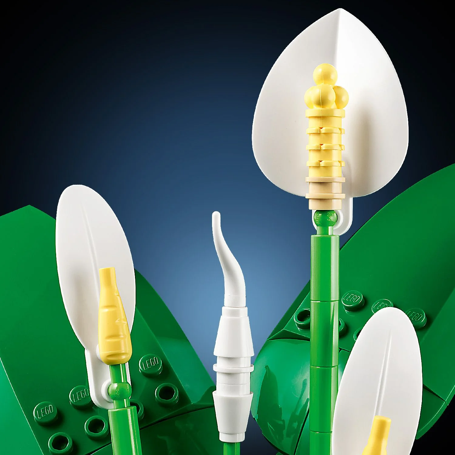 LEGO Botanicals: Peace Lily (11504) - Image 13