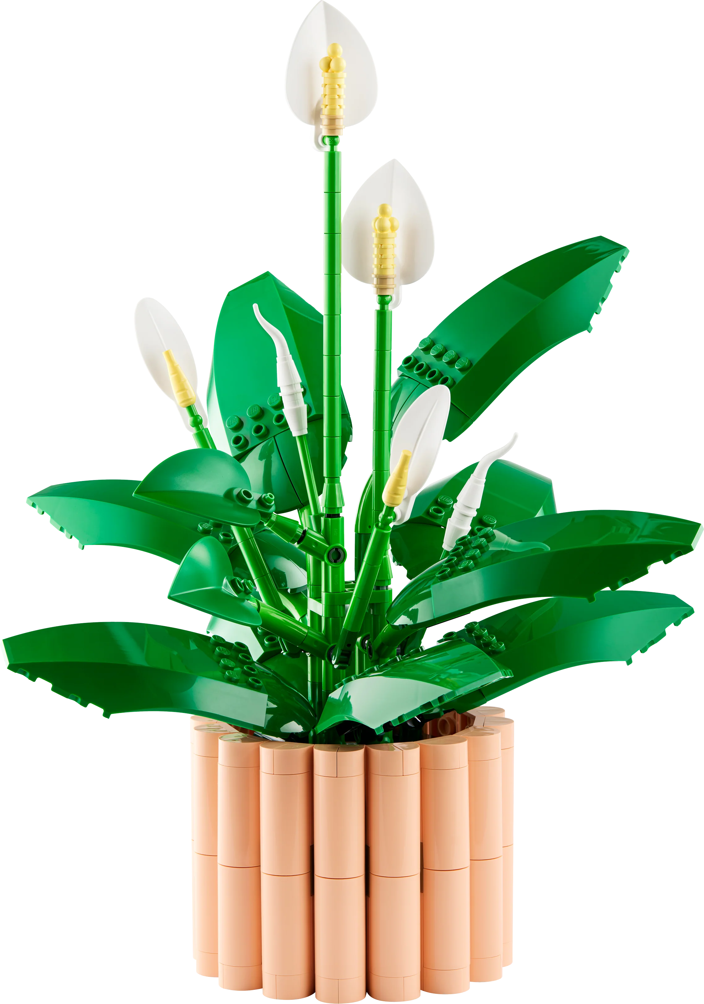 LEGO Botanicals: Peace Lily (11504) - Image 4