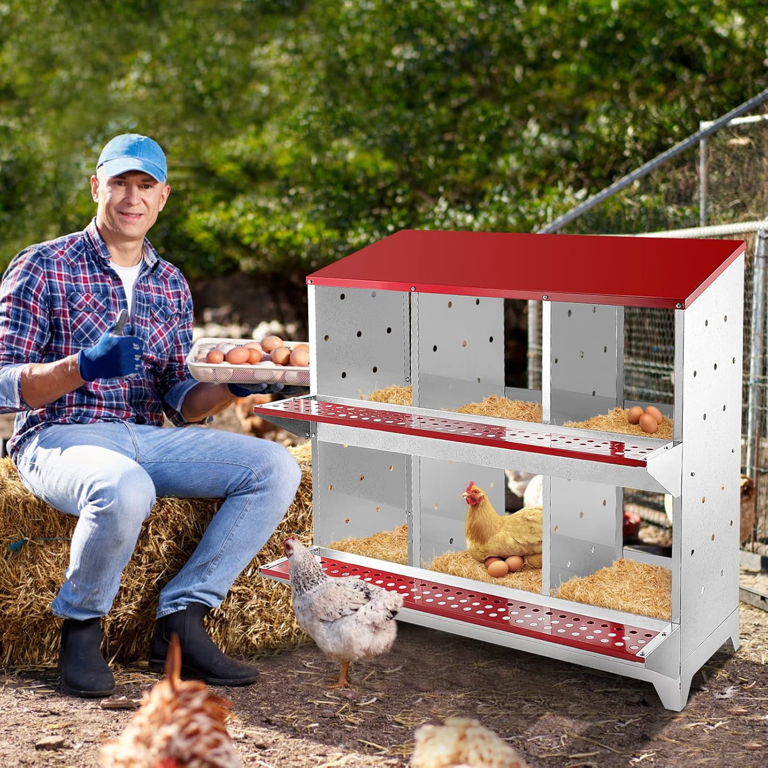 Nesting Box Chicken Hen Roll Away Laying Nest Boxes Chook Brooder 6 Compartment - Image 11