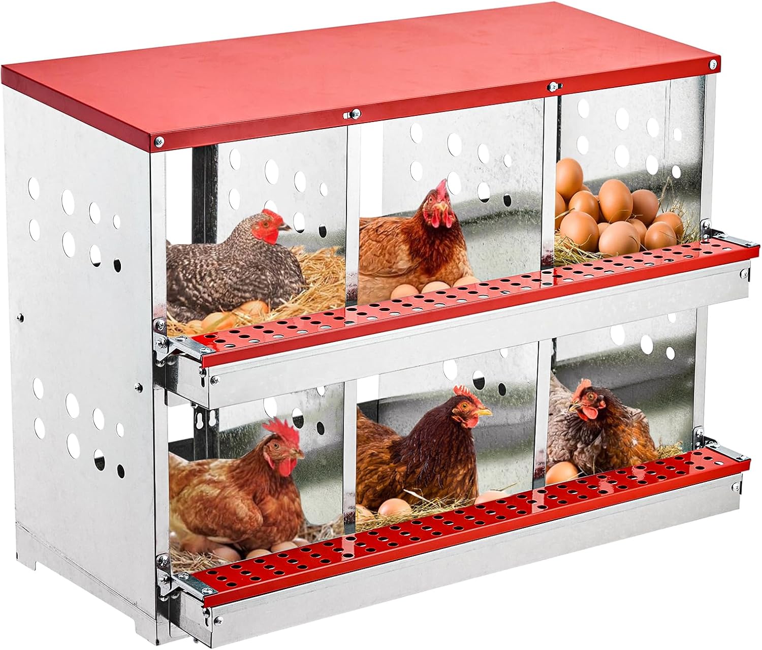 Nesting Box Chicken Hen Roll Away Laying Nest Boxes Chook Brooder 6 Compartment - Image 5