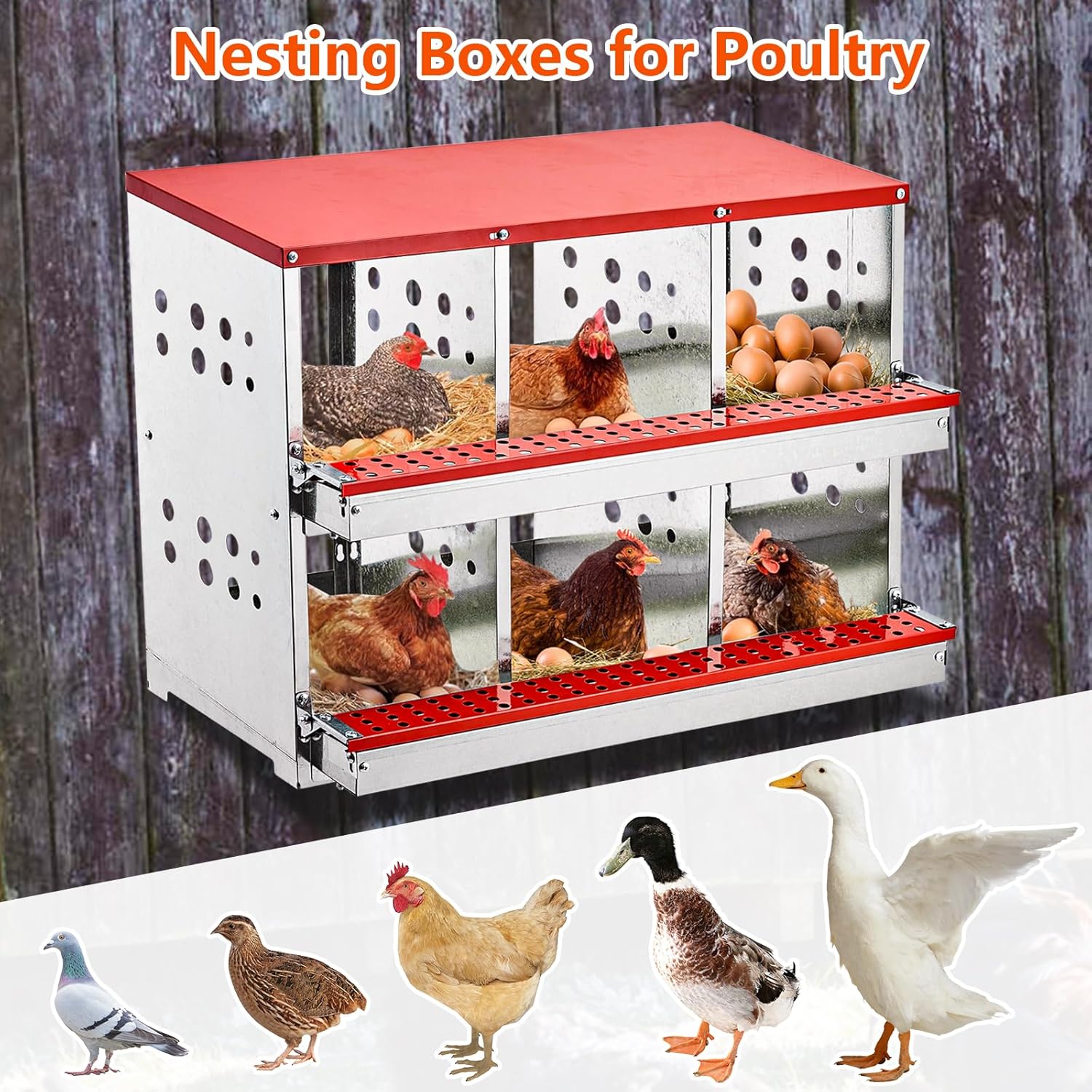 Nesting Box Chicken Hen Roll Away Laying Nest Boxes Chook Brooder 6 Compartment - Image 7
