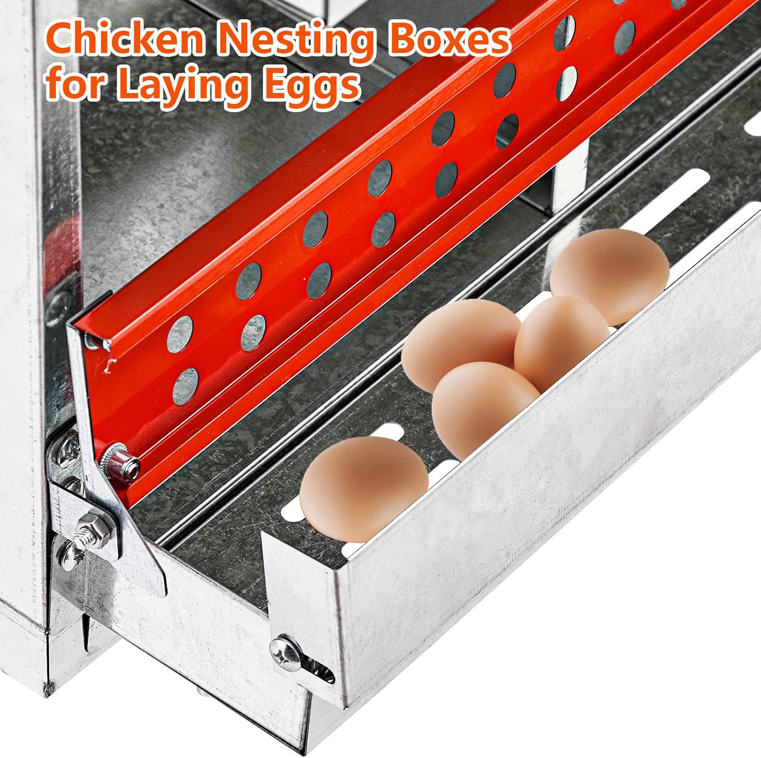Nesting Box Chicken Hen Roll Away Laying Nest Boxes Chook Brooder 6 Compartment - Image 9