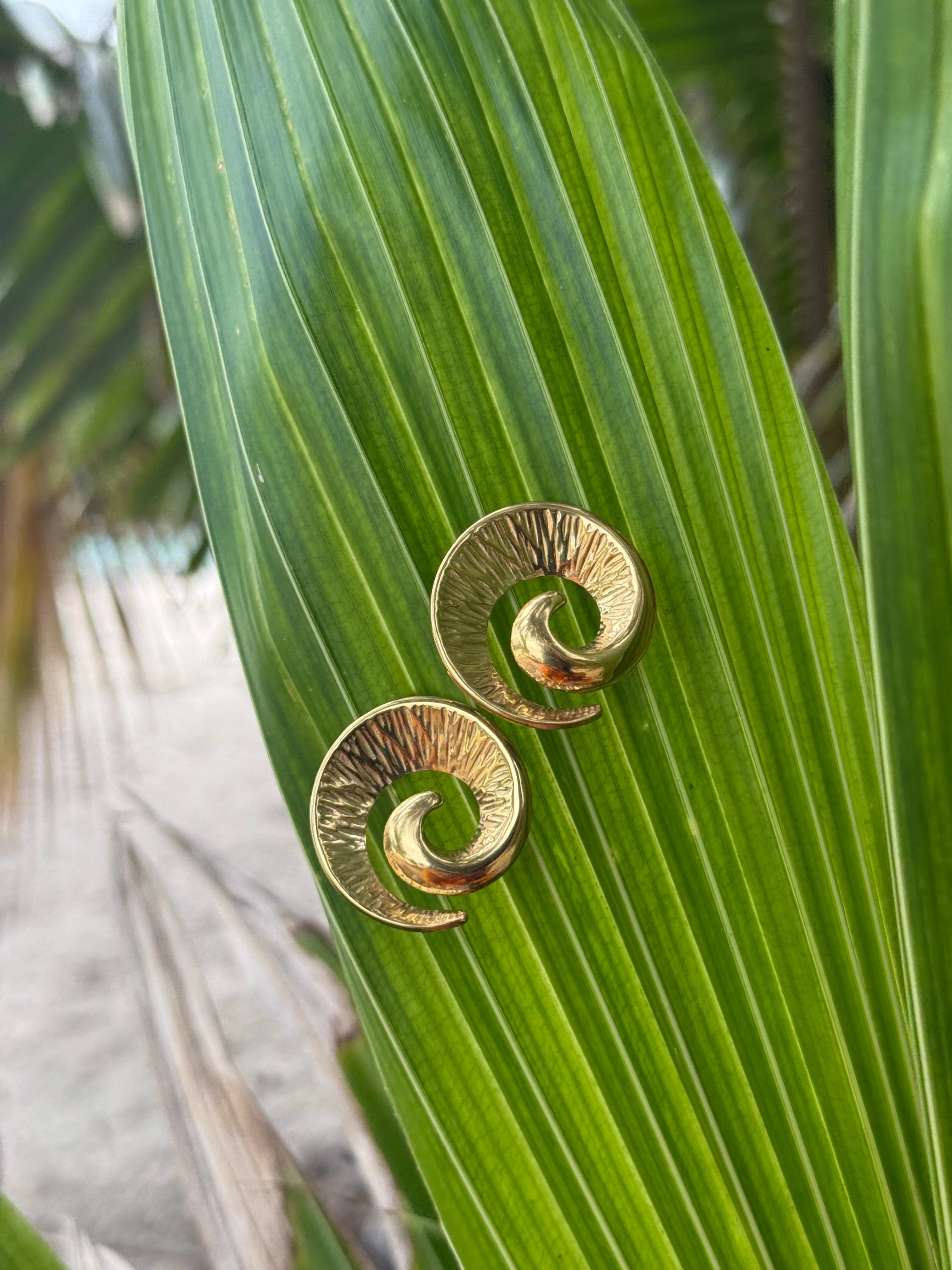 Ngā Ripo o te Moana Gold Bundle - Limited Edition - Image 3