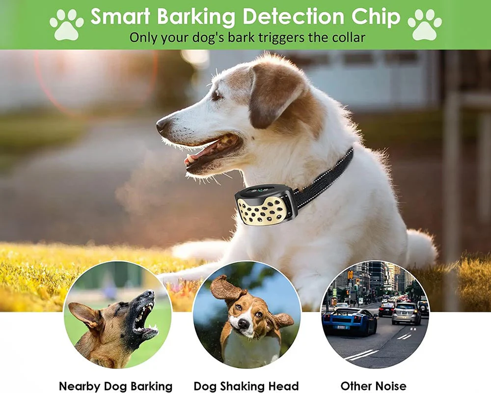 No-Bark Dog Training Collar - Image 3