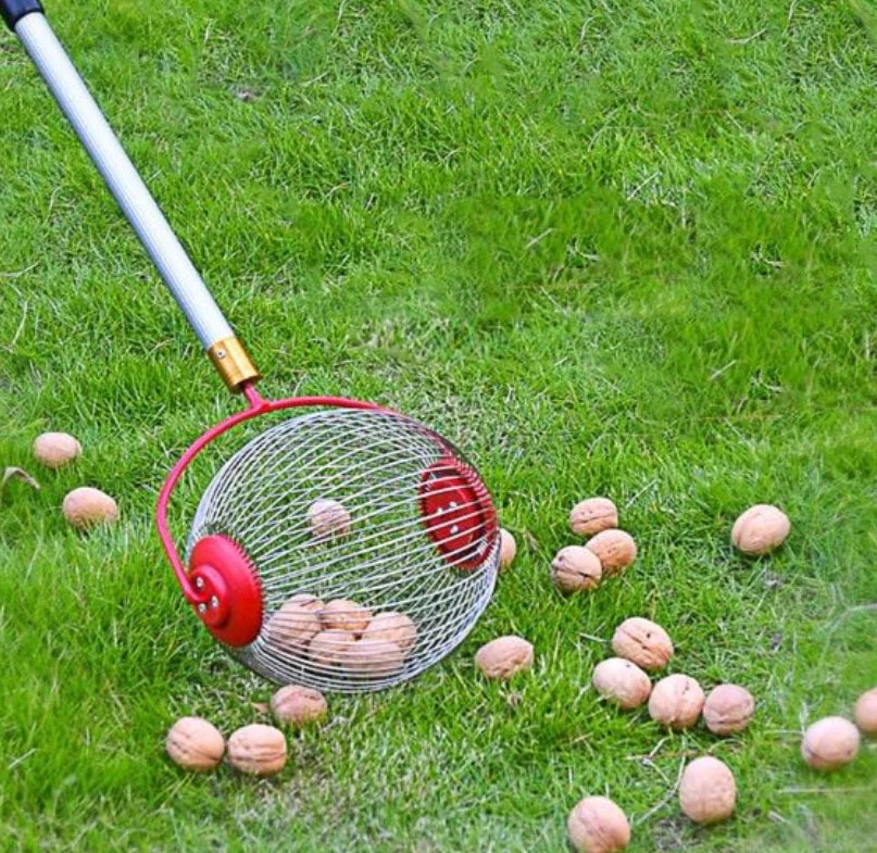 Nut collector fruit collection fruit picker garden tool multi-functional pick up - Image 2