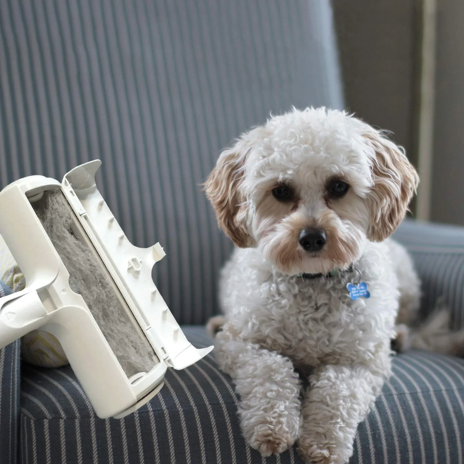 Pet Hair Remover Roller Brush - Image 5