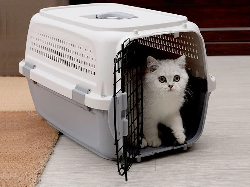 PP 30 Airline Approved Pet Carrier AIR NZ TRAVEL CAGE 58cm With Bowl - Image 3