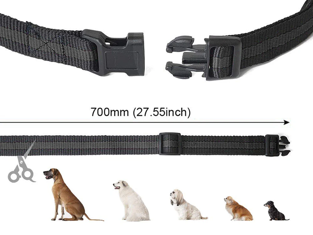 Remote Dog Training Collar-2 dogs - Image 6